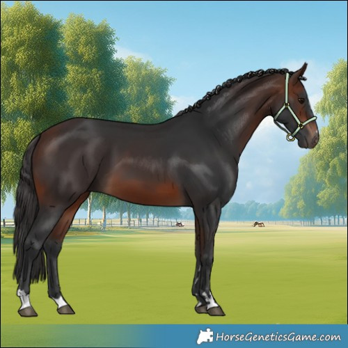 Horse Color:Brown 