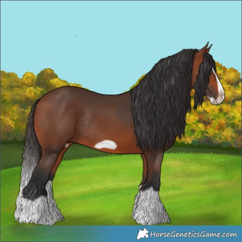 Horse Color:Bay Splash Frame Rabicano 