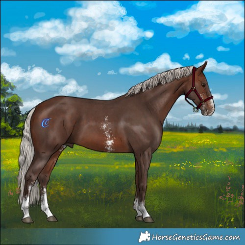 Horse Color:Silver Brown Sabino 