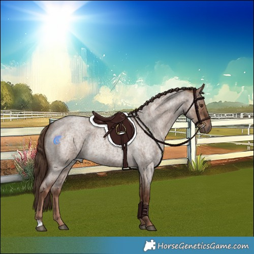 Horse Color:Liver Red Dun Roan Rabicano