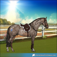 Horse Color:Liver Red Dun Roan  and Brown Dun Tobiano Rabicano 