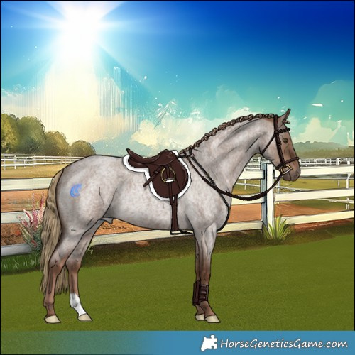 Horse Color:Liver Red Dun Roan Rabicano 