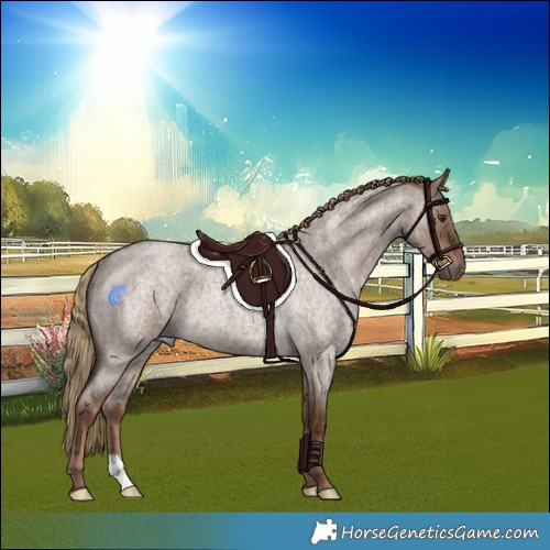 Horse Color:Liver Red Dun Roan Rabicano