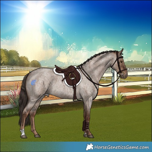 Horse Color:Liver Red Dun Roan