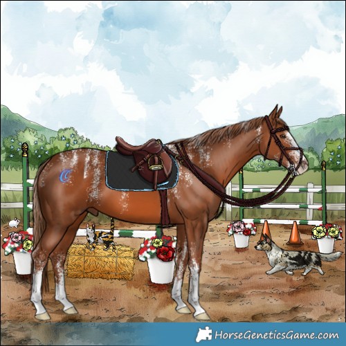 Horse Color:Powder White Chestnut 