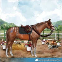 Horse Color:Powder White Chestnut 