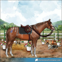 Horse Color:Powder White Chestnut