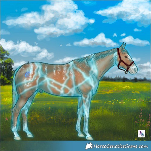 Horse Color:Powder White Thunderstruck Chestnut 