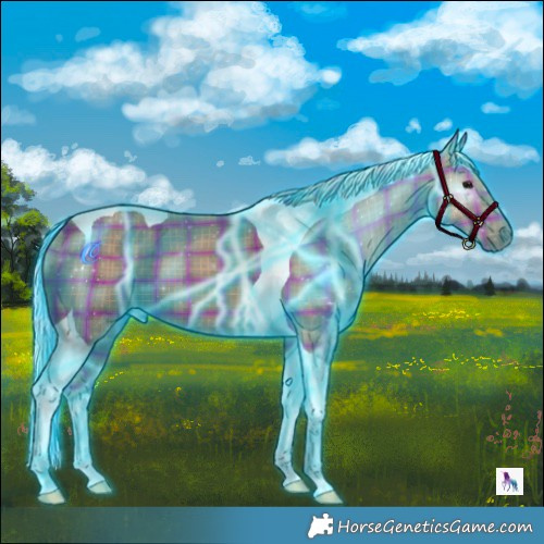 Horse Color:Thunderstruck Plaid  Silver Black Tobiano 