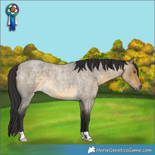 Horse Color:Buckskin Roan Dun 