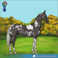 Horse Color:White Spotted Silver Black Tobiano