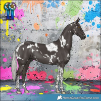 Horse Color:White Spotted Silver Black Tobiano 