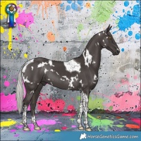 Horse Color:White Spotted Silver Black Tobiano 
