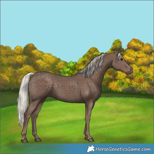 Horse Color:Silver Black 