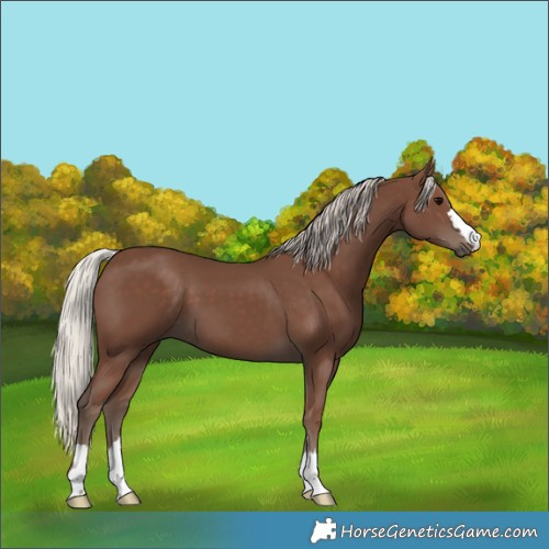 Horse Color:Silver Black 