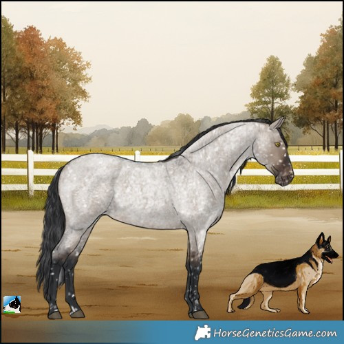 Horse Color:Brown Roan Dun Skewed LP Spotted