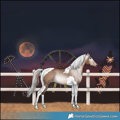 Horse Color:Gray Chocolate Silver Bay Dun Tobiano 