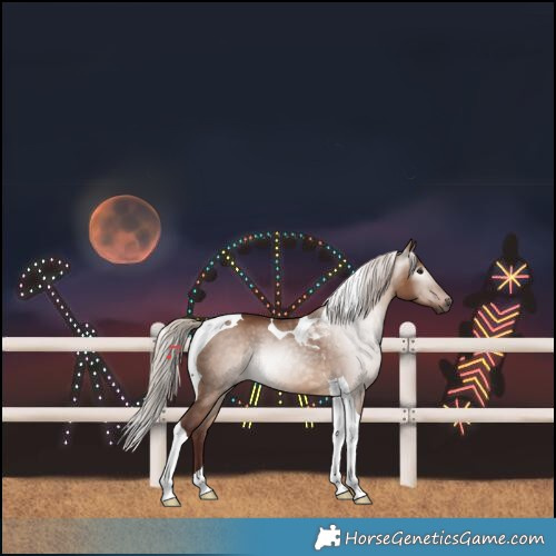 Horse Color:Gray Chocolate Silver Bay Dun Tobiano 