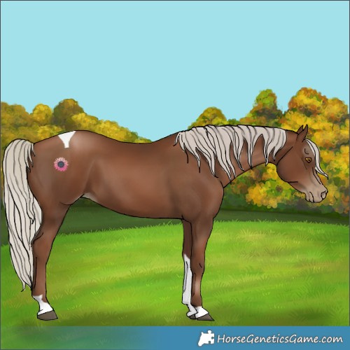 Horse Color:Gray Silver Black Pearl Tobiano 