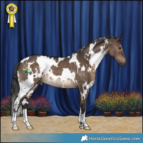 Horse Color:White Spotted Brown Dun Brindle 