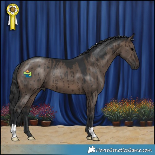 Horse Color:Brown Dun Brindle 