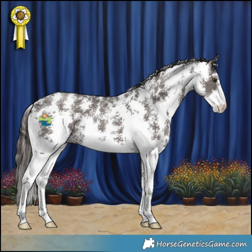Horse Color:Liver Chestnut Sabino