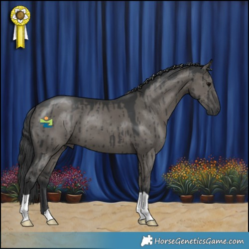 Horse Color:Grullo Brindle 