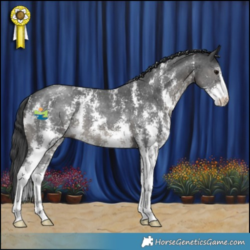 Horse Color:Black Sabino