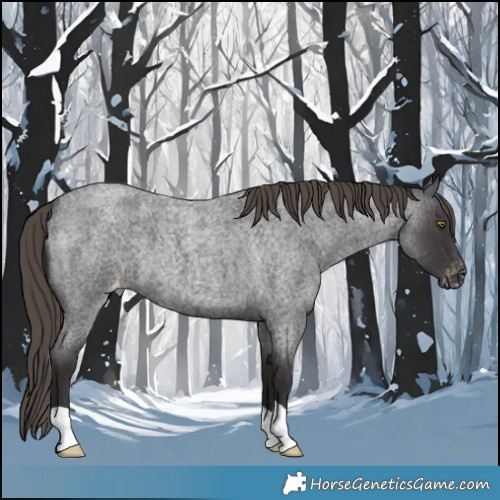 Horse Color:Smoky Blue Roan Varnish 