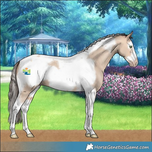 Horse Color:Amber Champagne Dun Splash Tobiano Frame 