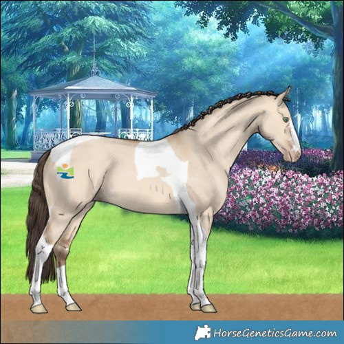 Horse Color:Amber Champagne Dun Tobiano 