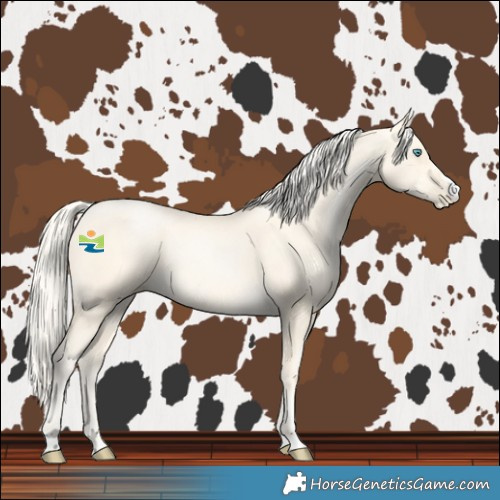 Horse Color:Gold Cream Champagne Pearl 