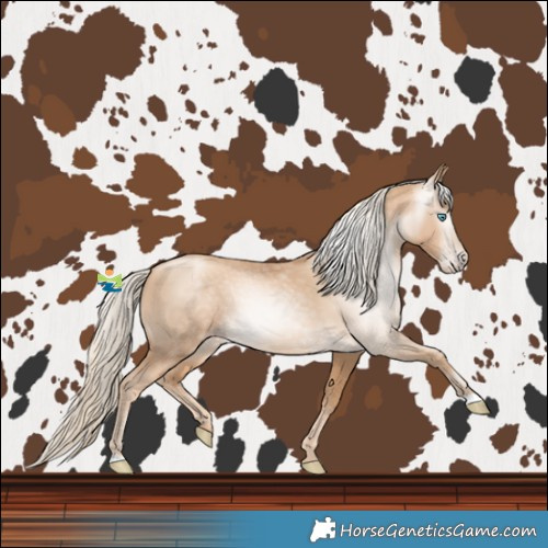 Horse Color:Gray Gold Cream Champagne Pearl 
