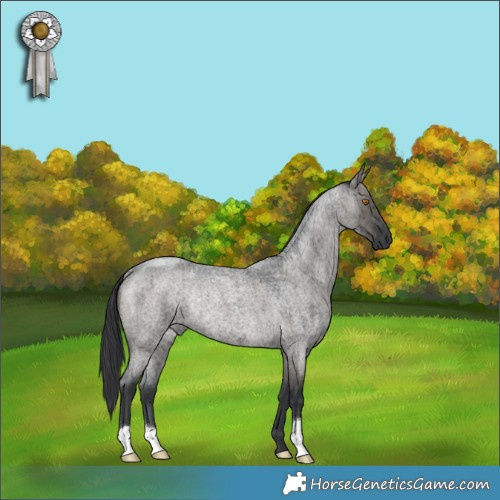 Horse Color:Grullo Roan Rabicano Brindle