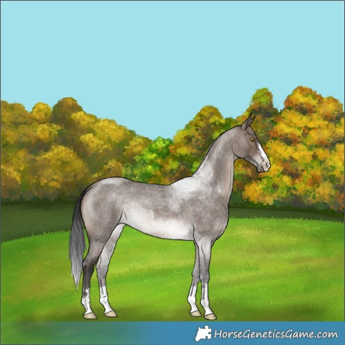 Horse Color:Brown Roan Dun 