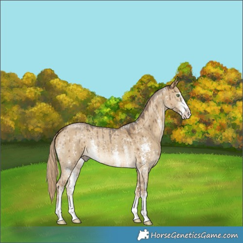 Horse Color:Chocolate Palomino Dun Sabino Brindle