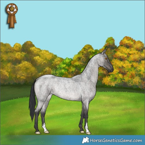 Horse Color:Grullo Roan Rabicano Brindle 