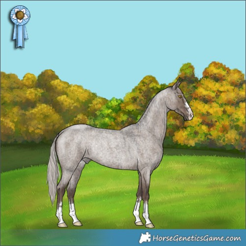 Horse Color:Silver Grullo Roan Rabicano Brindle 