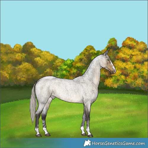 Horse Color:Silver Smoky Grullo Roan Rabicano Brindle