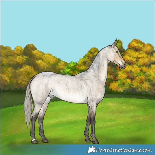 Horse Color:Silver Buckskin Roan Dun Rabicano Brindle