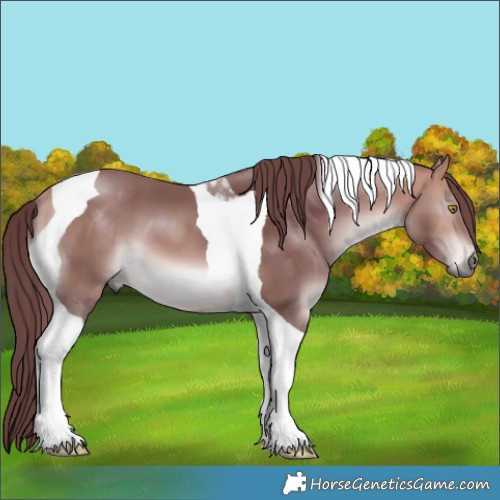Horse Color:Platinum Chocolate Bay Tobiano 
