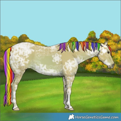 Horse Color:Painted Watercolor Chestnut Ice 