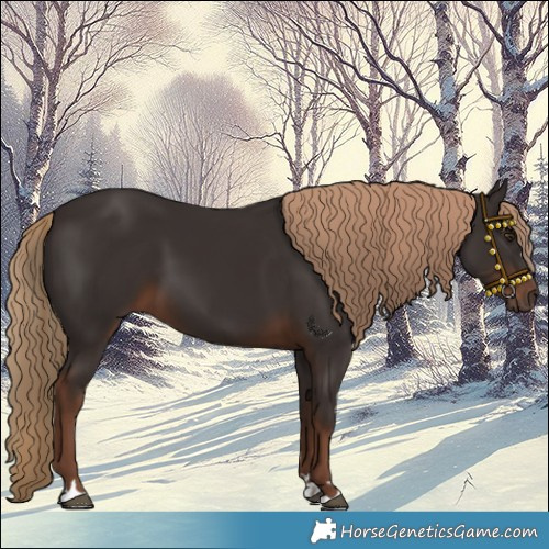 Horse Color:Liver Chestnut 