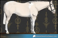 Horse Color:Cremello Tobiano