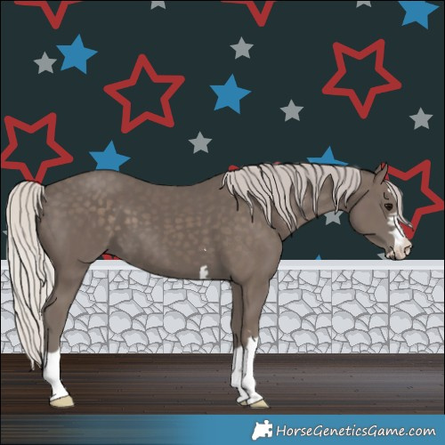 Horse Color:Silver Black