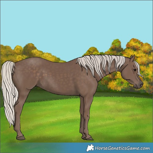 Horse Color:Silver Black 