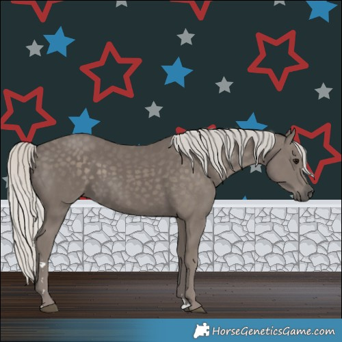 Horse Color:Silver Smoky Black