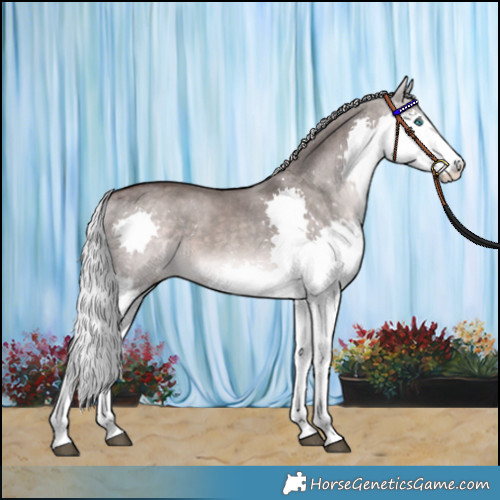 Horse Color:Platinum White Spotted Silver Brown Dun Splash 