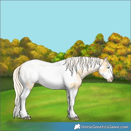 Horse Color:Chestnut Snowdrop Pearl Tobiano Frame 
