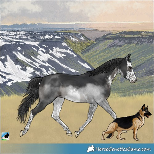 Horse Color:White Spotted Black 